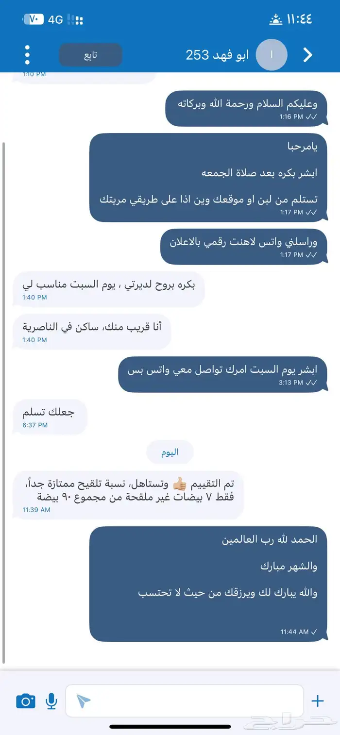 بيض دجاج لوهمان بيور مخصب متوقف البيع حاليا 7