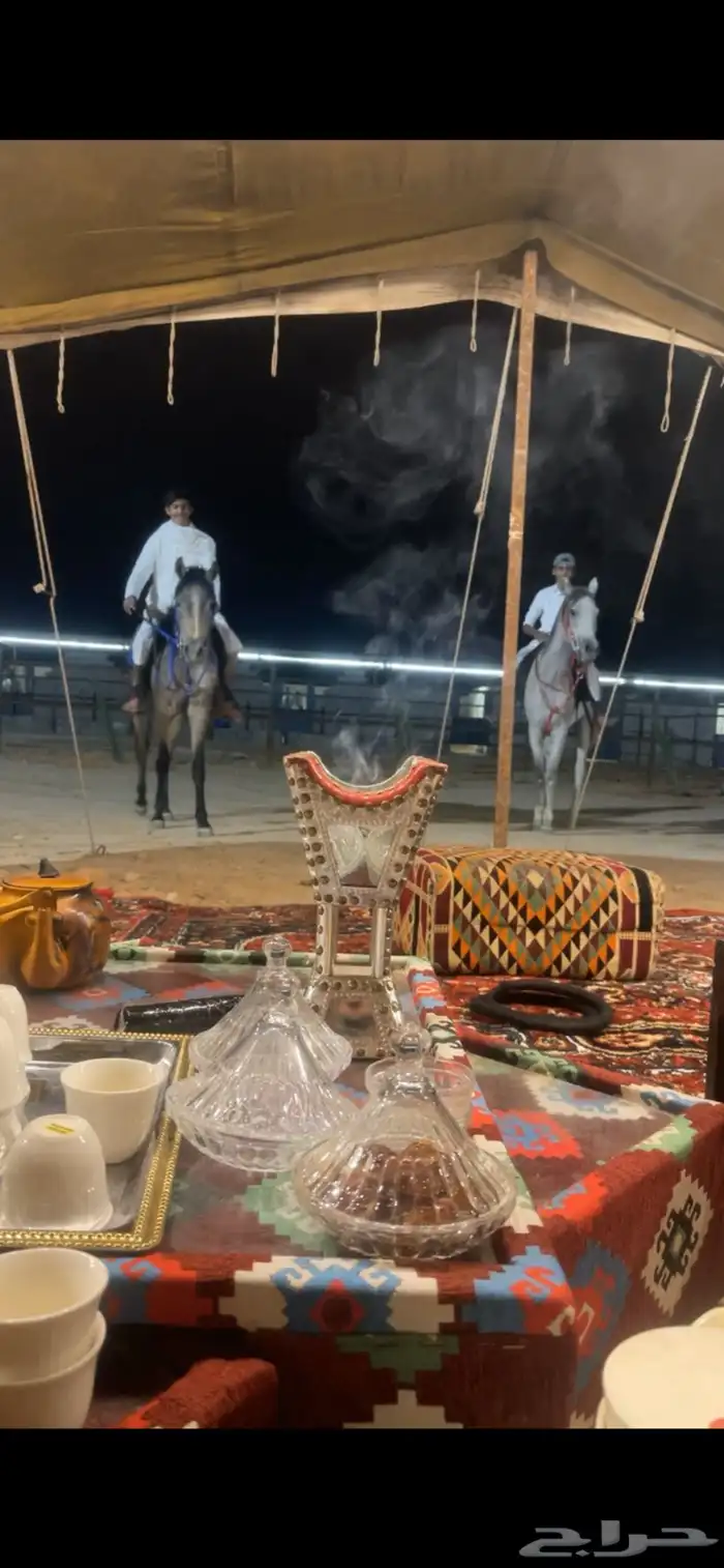 أيواء خيل ( الدوادمي ) 2