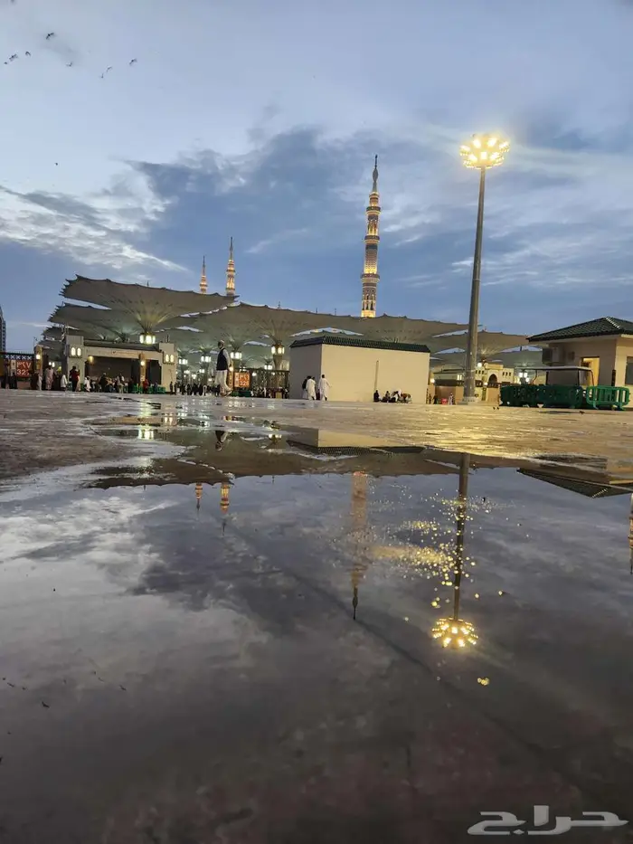 مرشد سياحي بالمدينة Tour Guide 7