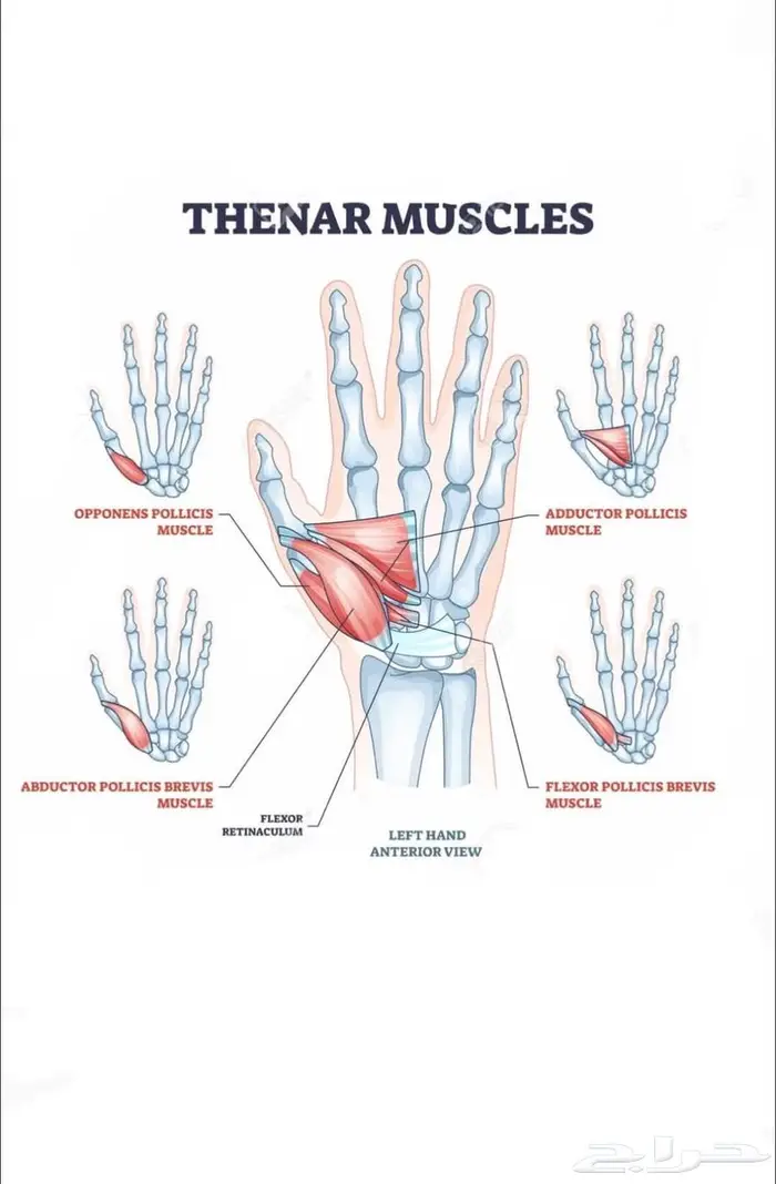 Physiotherapy Specialist at home علاج طبيعي في المنزل 1