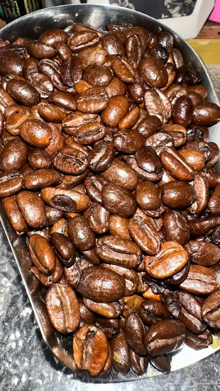 القهوه الامريكيه الاصليه ( دانكن بليند ) درجة اولى فاخر 1