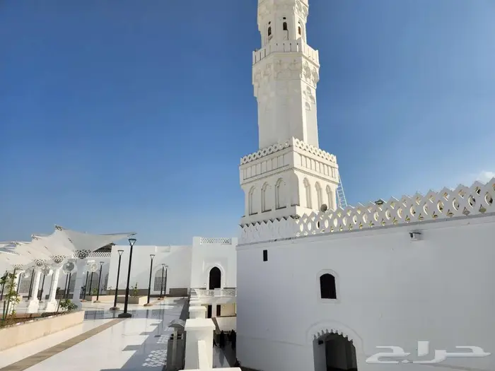 مرشد سياحي بالمدينة Tour Guide 11