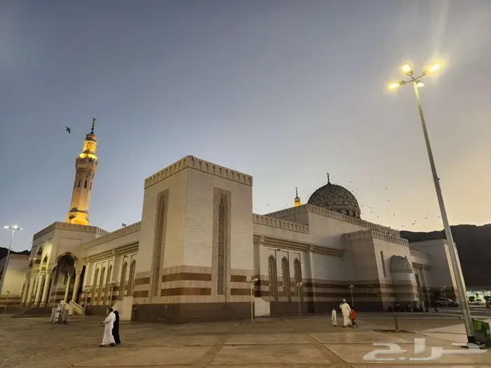 مرشد سياحي بالمدينة Tour Guide 8