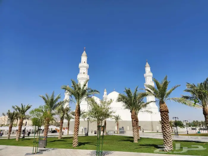 مرشد سياحي بالمدينة Tour Guide 2