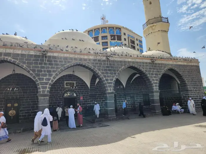 مرشد سياحي بالمدينة Tour Guide 14