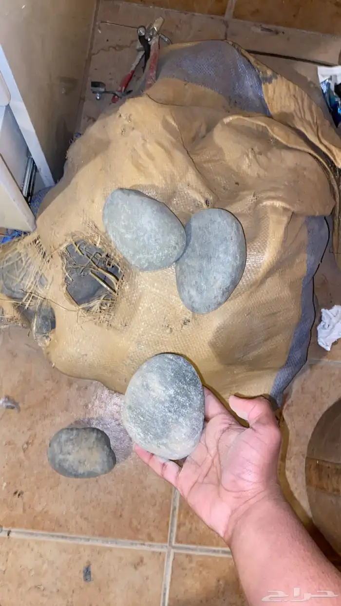 حجر مظبي 1