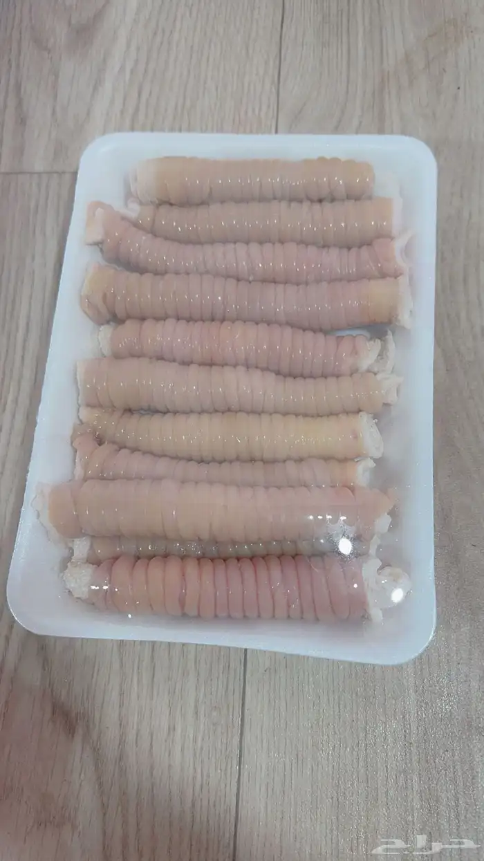 ذبائح رمضان 3