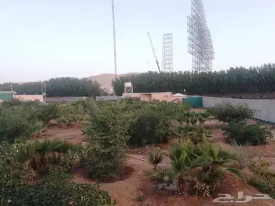 مزرعة للبيع 3