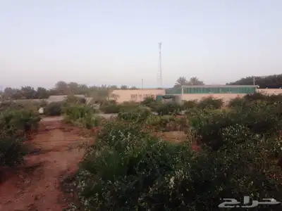 مزرعة للبيع 1