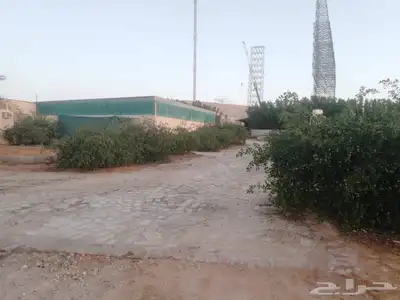 مزرعة للبيع 0