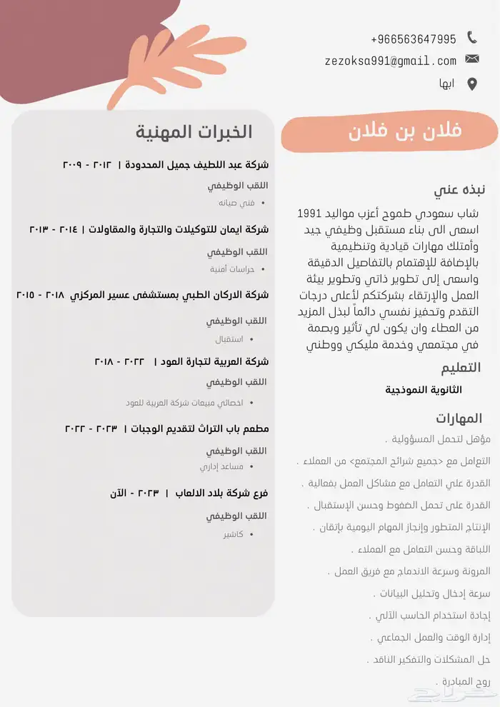 مصممه سيرة ذاتية سيفي 10