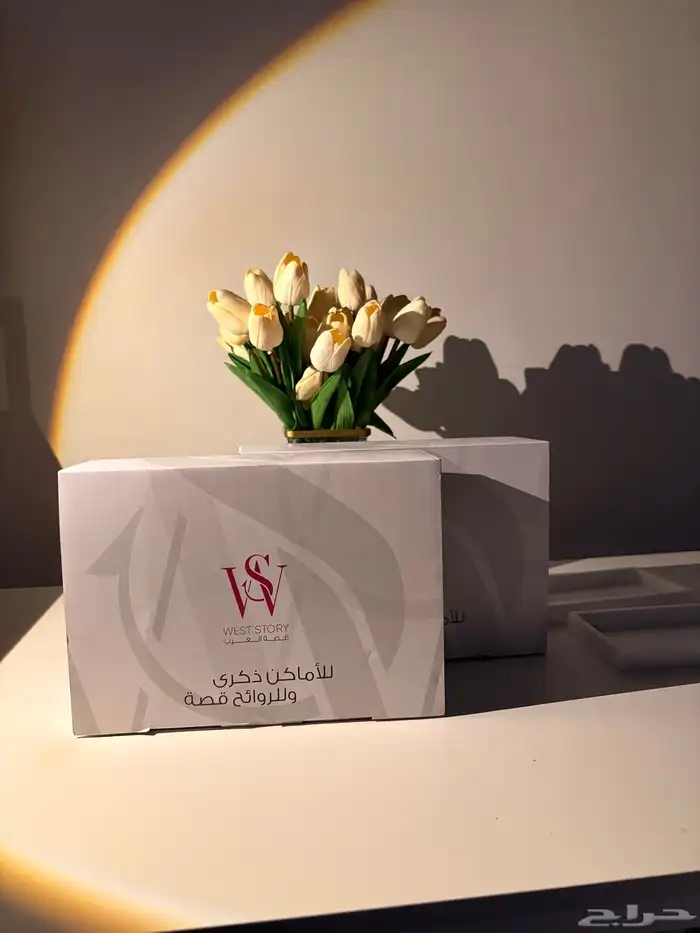 تصوير 2