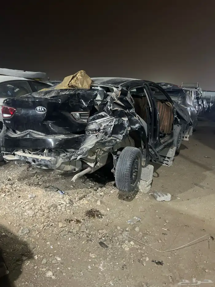 تشليح ريو 2019 0