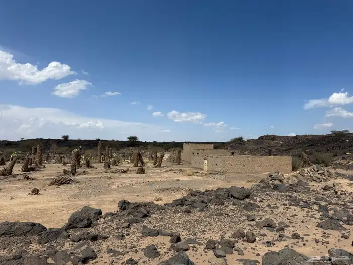 للبيع ارض زراعية في ابيار الماشي المدينة المنورة بسعر مغري 14