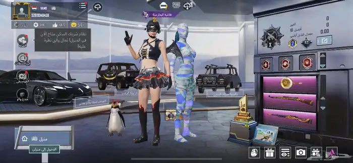 حساب ببجي 1