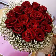 مندوب توصيل 1