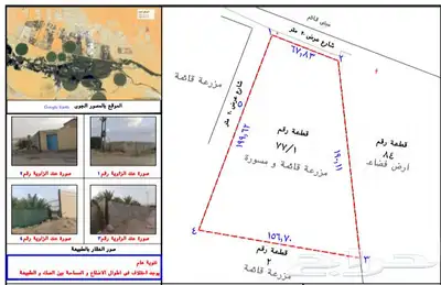 مزرعة للبيع 2