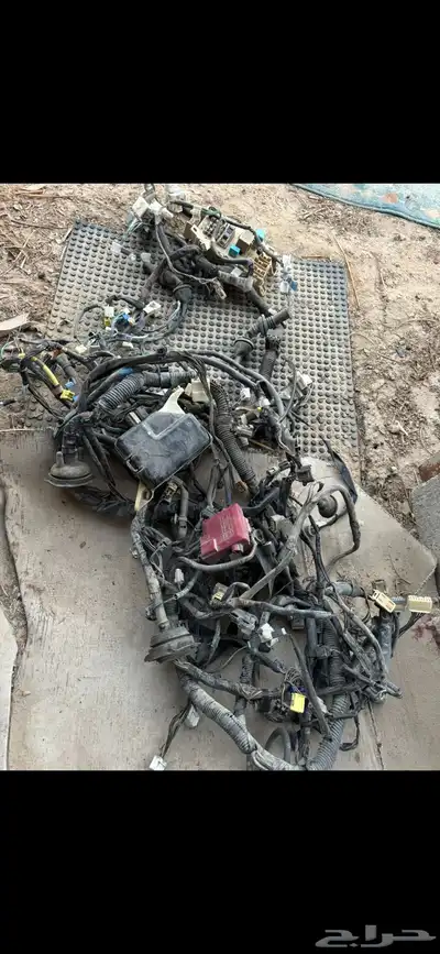 أغراض ايكو 2000 إلى 2005 11