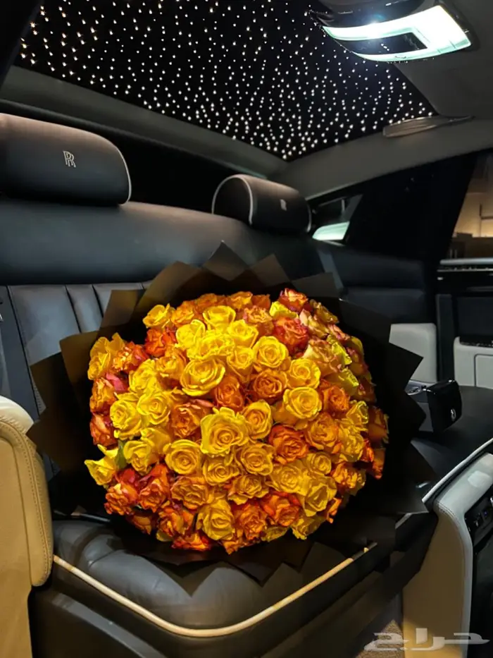 تأجير روز سيارات فخمه مع سايق الساعه 300 5