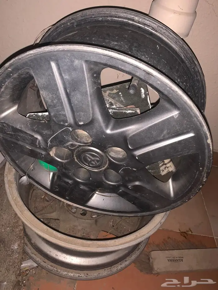 جنوط نجمه هلي 0