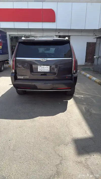 عنوان العرض خميس مشيط 1