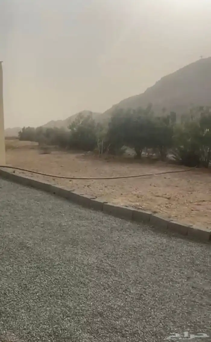 استراحه للبيع فيها كهرباء ورتواز مويه وافره ومشجره 13