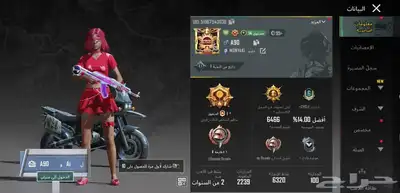 حساب ببجي 30