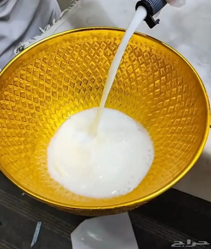 سمن بقر بلدي يوجد سمن بقر بلدي 9