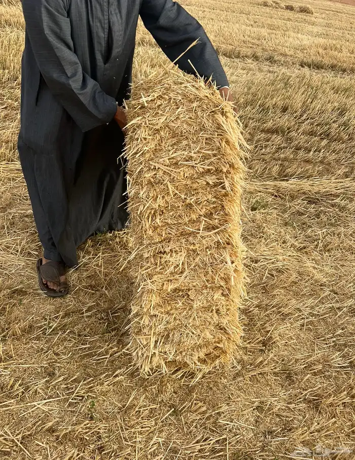 الدفع عند الاستلام 2