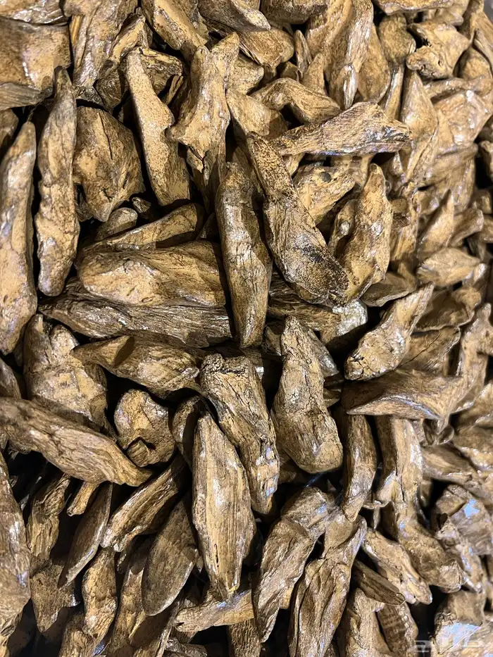 عود موروكي محسن فاخر جدا 0