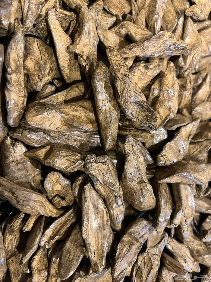 عود موروكي محسن فاخر جدا 1