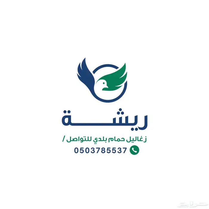 تصميم لوقو شعار احترافي 14