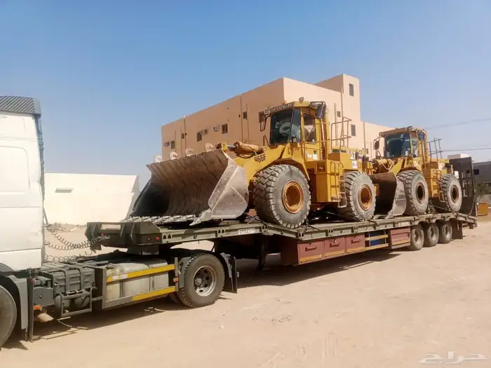 لوبد متواجد في جده 0