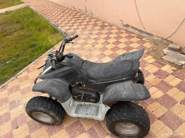 دباب للبيع 3