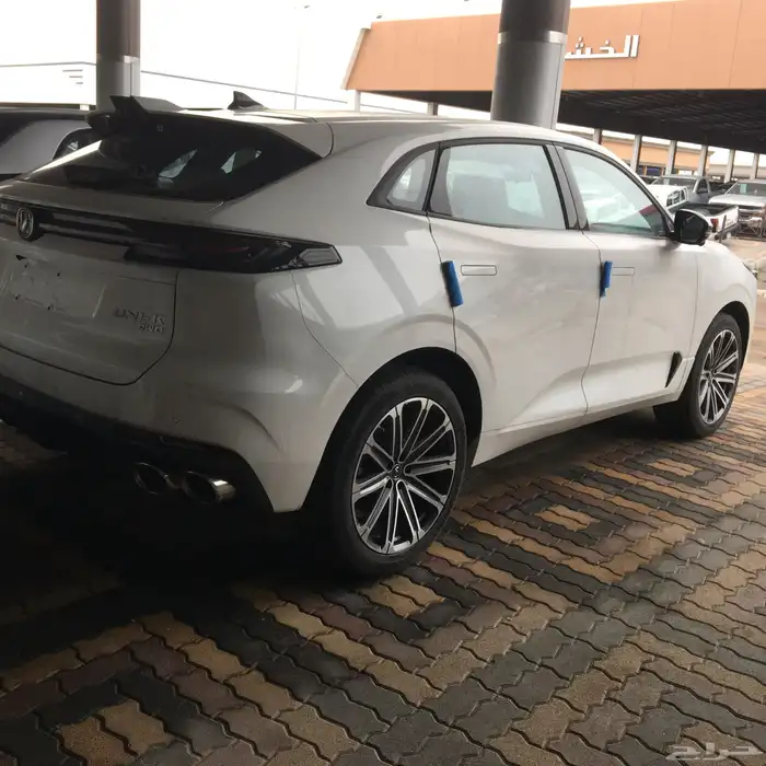 شانجان يونى كى2025 3