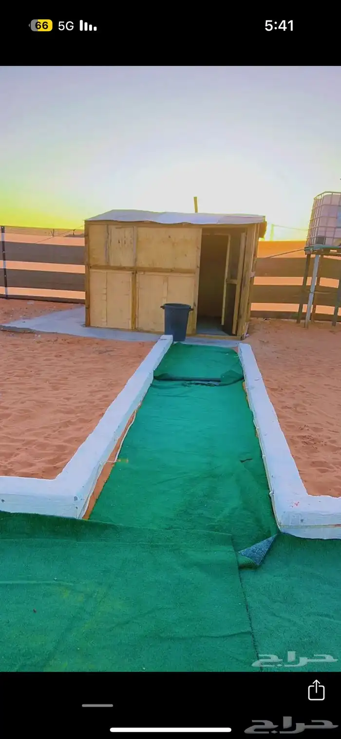 مشيم البع 3