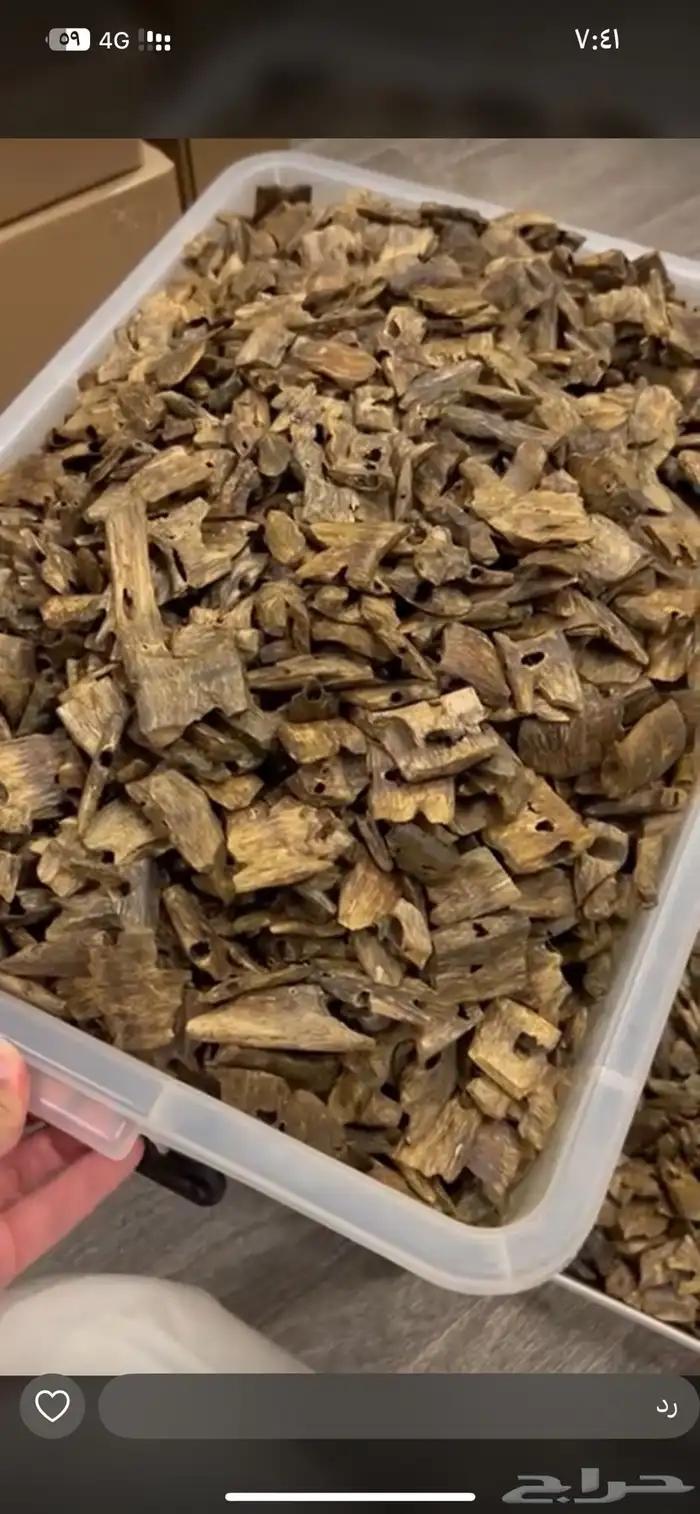 عود كينام صيني طبيعي 0