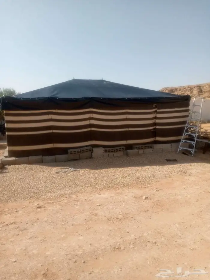 عبد ربه احمد صالح مهدي 5