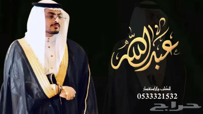 منشد شيلات شاعر جزل 0