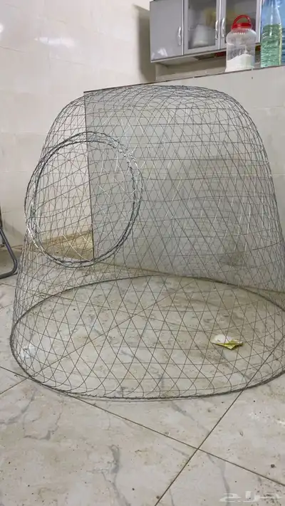 شبوك عرض وتشميس 0