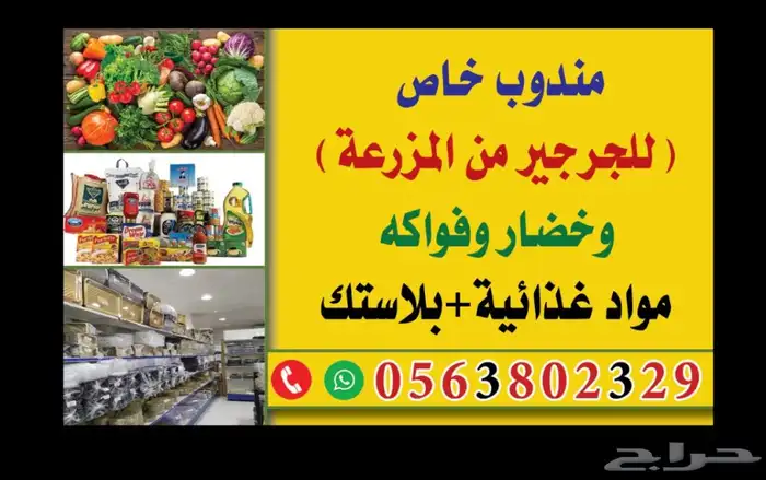 توريد وتوزيع خضار داخل جدة وخارج جدة 0