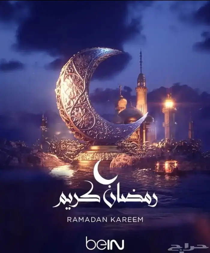 عرض تجديد بي ان 0