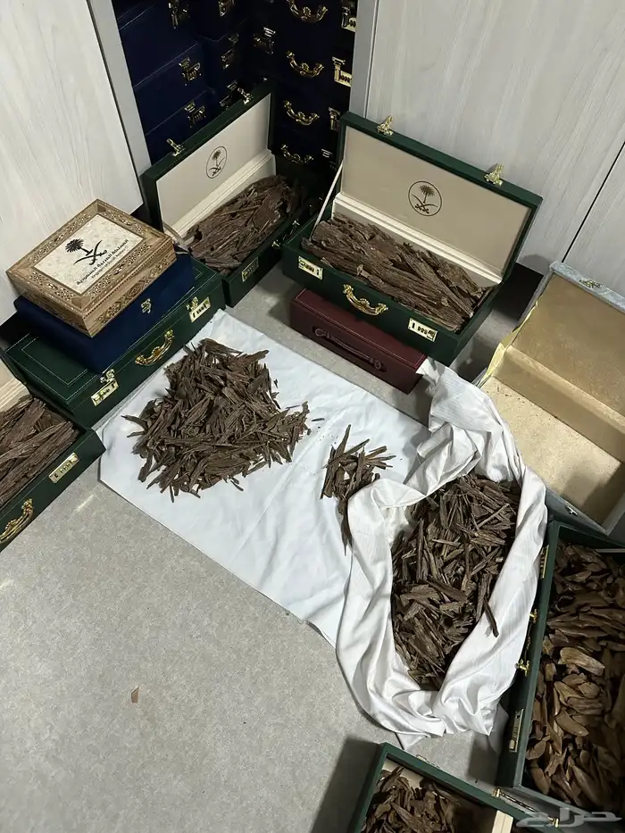 عود طبيعي ودهن عود كفو 7