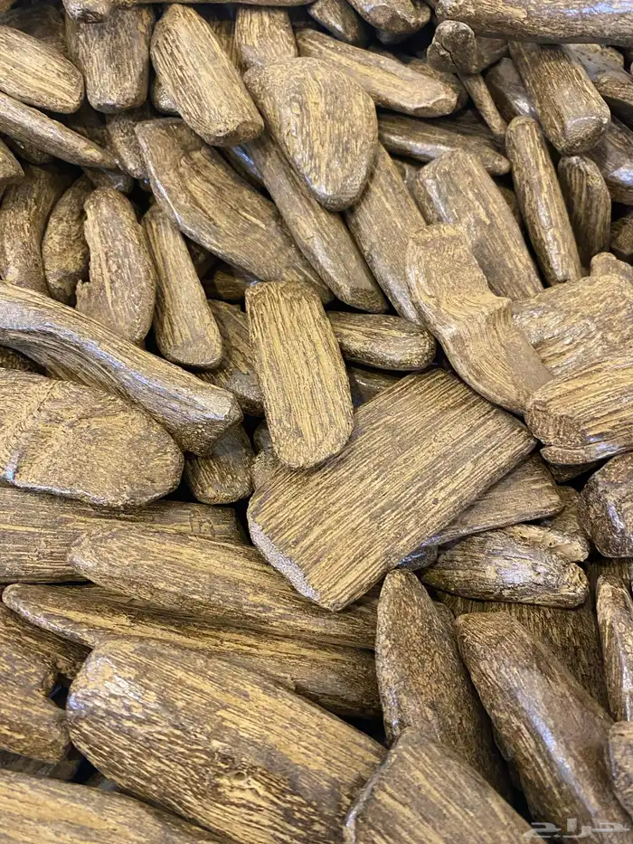 مروكي دبل سوبر بيور نخب اول كسر كبار 1