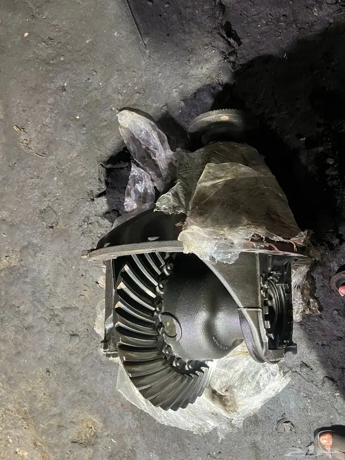 كرونه اكترس 1