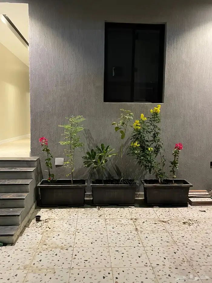 احواض زرع للبيع 1