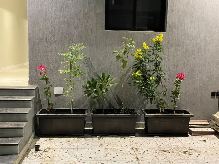 احواض زرع للبيع 0