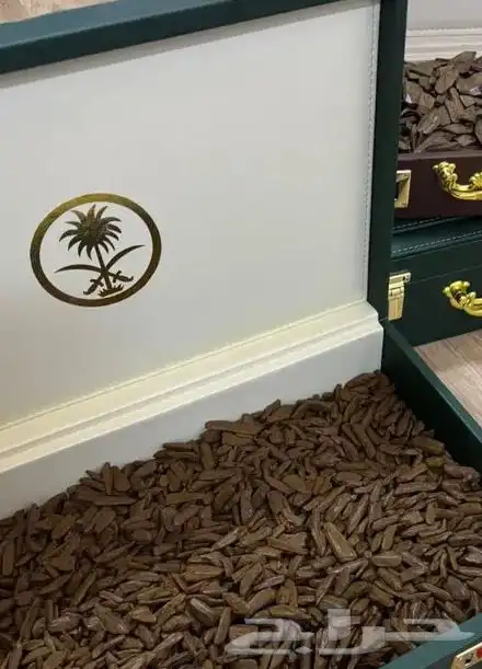 عود الفخامه الملكي 23