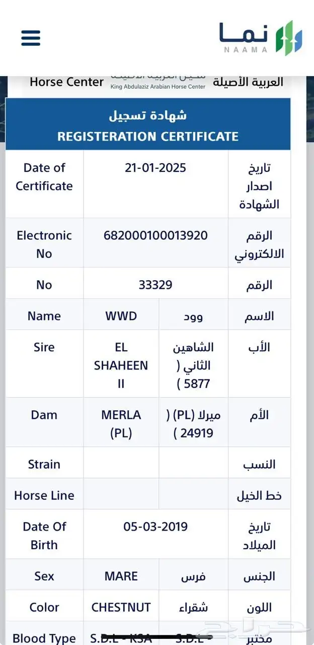 فرس واهو فاخره لقاح ثقيل 6