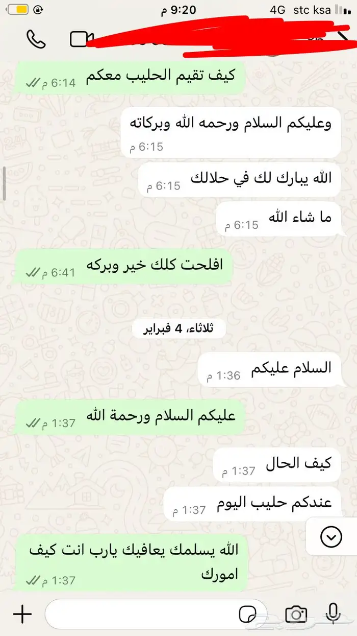 حليب ماعز طازج 10